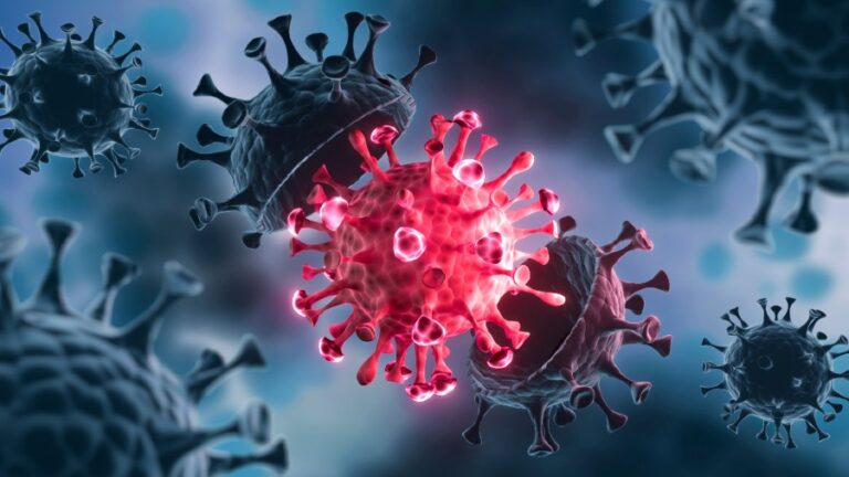 1620676097 corona virus