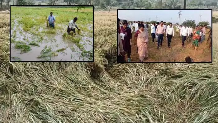 నేడు ఏపీకి కేంద్ర బృందం.. రెండు రోజుల పాటు పర్యటన