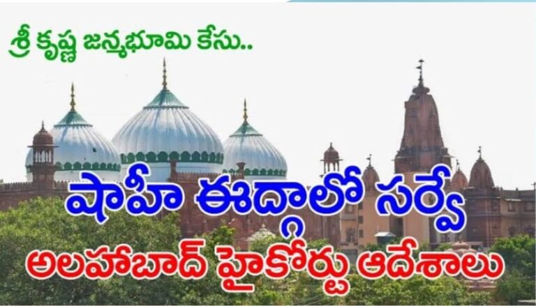 WhatsApp Image 2023 12 14 at 5.53.45 PM