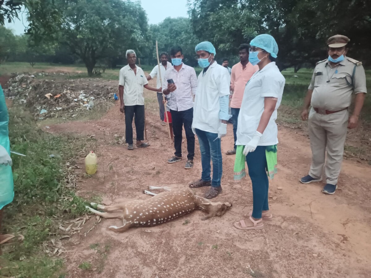 తాడేపల్లిగూడెం మండలం పెడతాడేపల్లిలో దారుణం…!!!