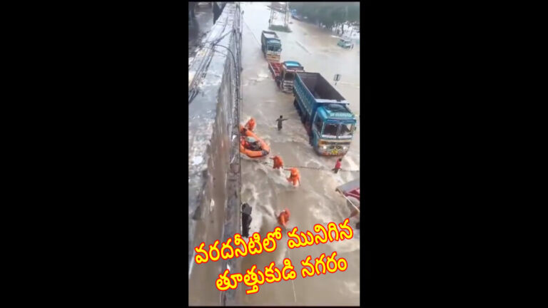 WhatsApp Image 2023 12 19 at 8.30.14 PM