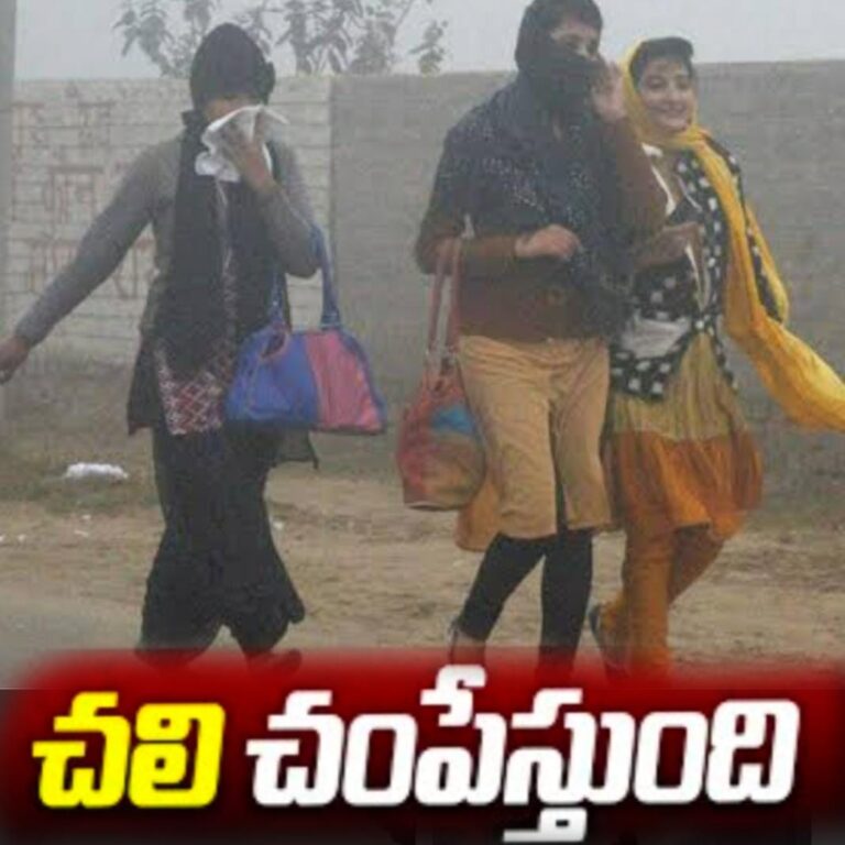WhatsApp Image 2023 12 21 at 1.44.21 PM