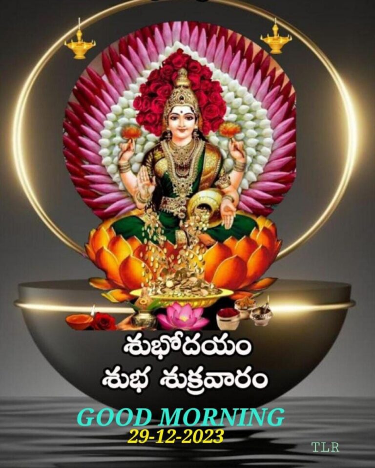 WhatsApp Image 2023 12 29 at 6.30.29 AM