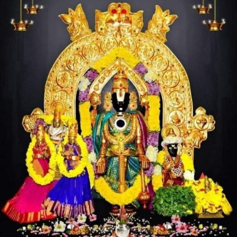 WhatsApp Image 2024 01 06 at 4.55.16 PM