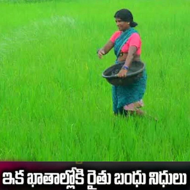 WhatsApp Image 2024 01 07 at 10.59.15 AM
