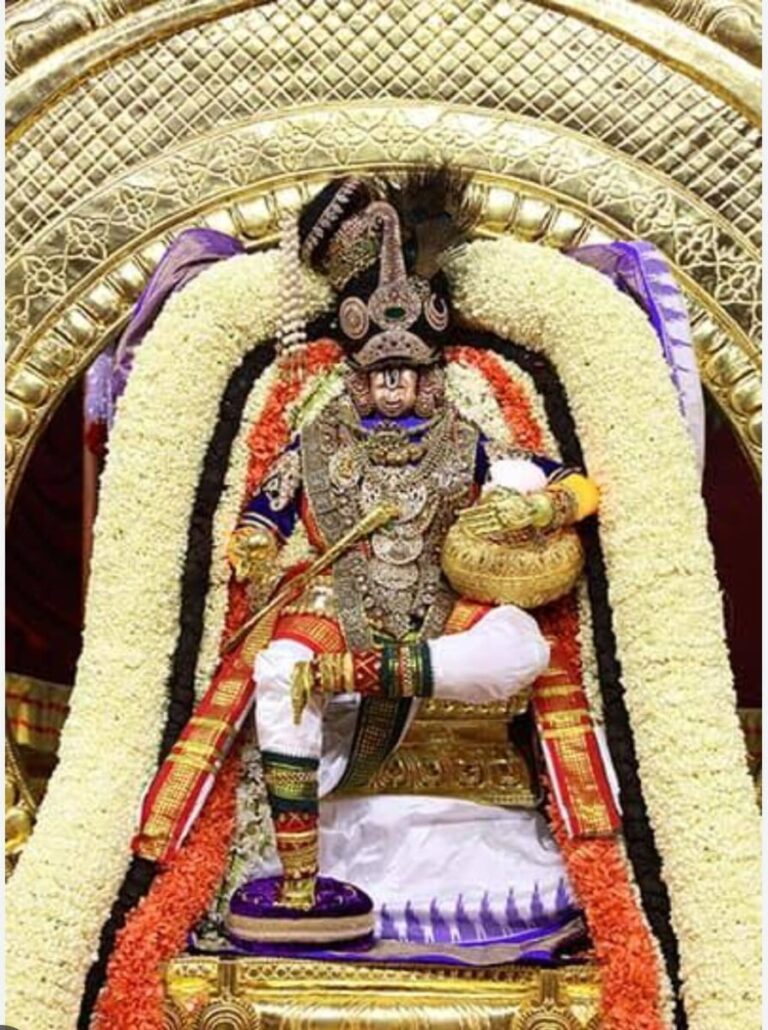 WhatsApp Image 2024 01 11 at 7.58.14 AM