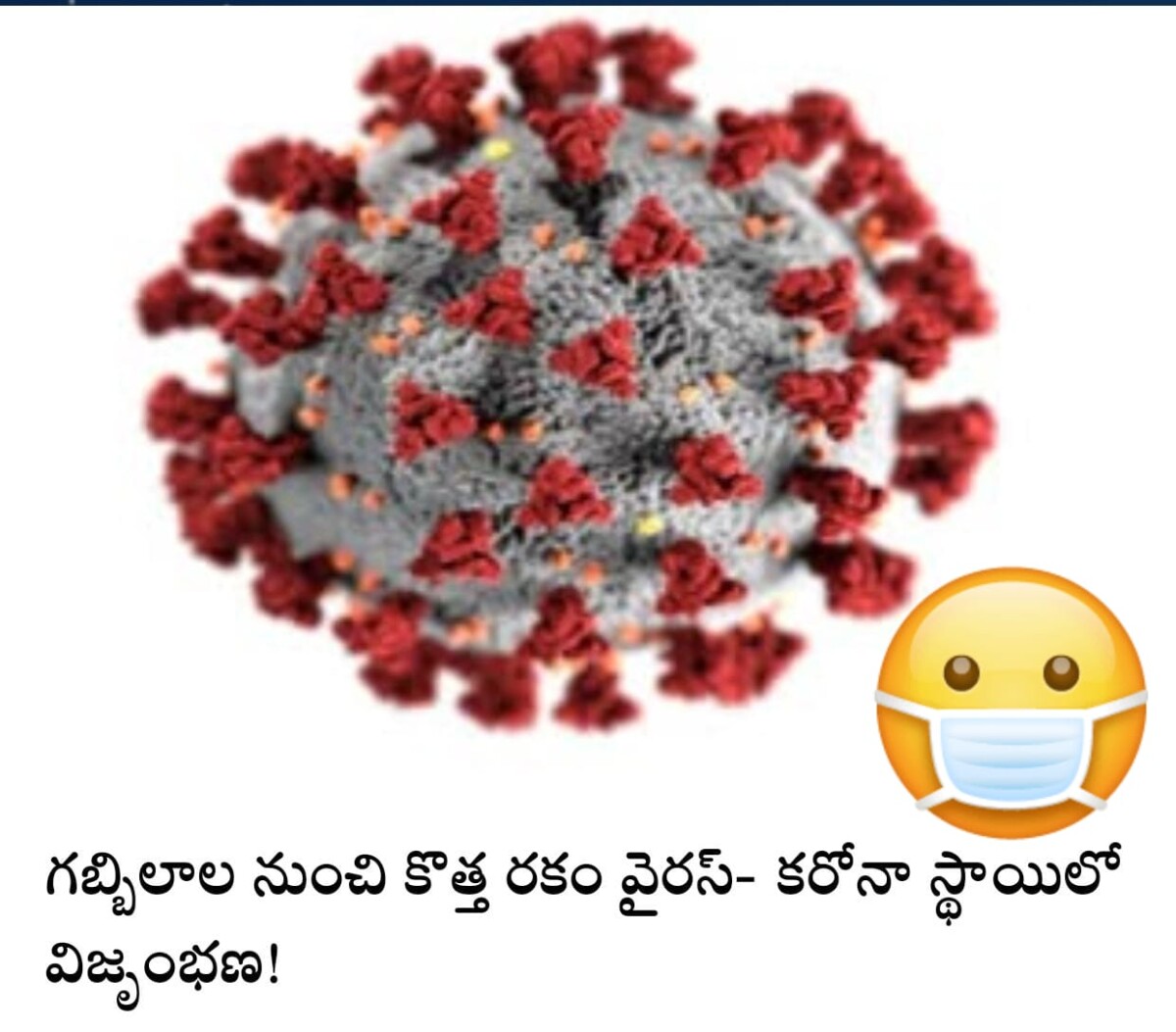 ప్రపంచవ్యాప్తంగా కరోనా ఉపవేరియంట్‌ జేఎన్‌ 1 వణికిస్తున్న వేళ తాజాగా మరో కొత్తం రకం వైరస్‌ పుట్టుకొచ్చింది