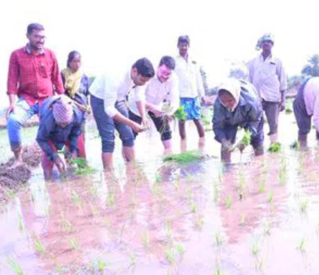 కూలీలతో కలిసి వరి నాటు వేసిన కలెక్టర్ ముజమ్మిల్ ఖాన్