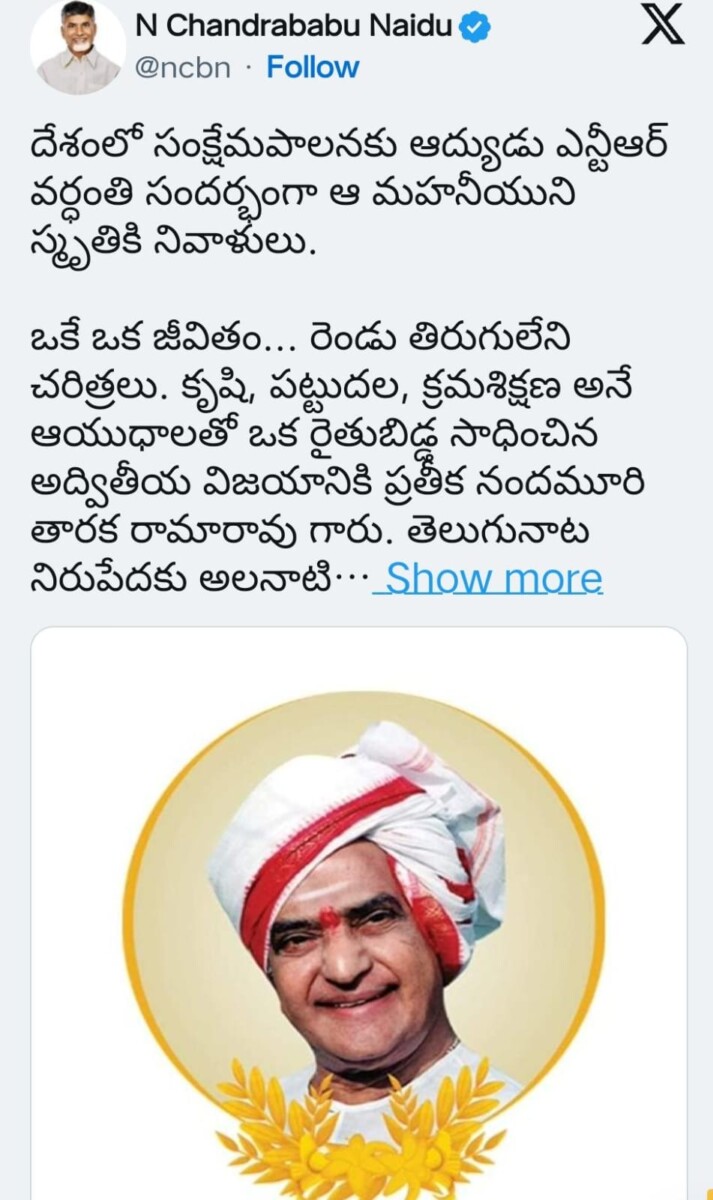 ఆనాటి రామన్న రాజ్యాన్ని తిరిగి సాధించుకుందాం.. ఎన్టీఆర్‌కు అసలైన నివాళి అర్పించుదాం: టీడీపీ అధినేత చంద్రబాబు