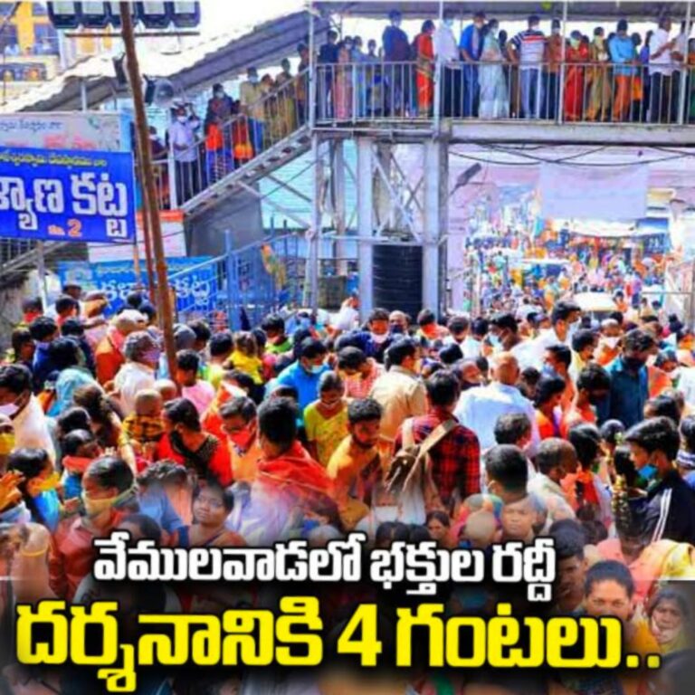 WhatsApp Image 2024 01 22 at 1.22.46 PM