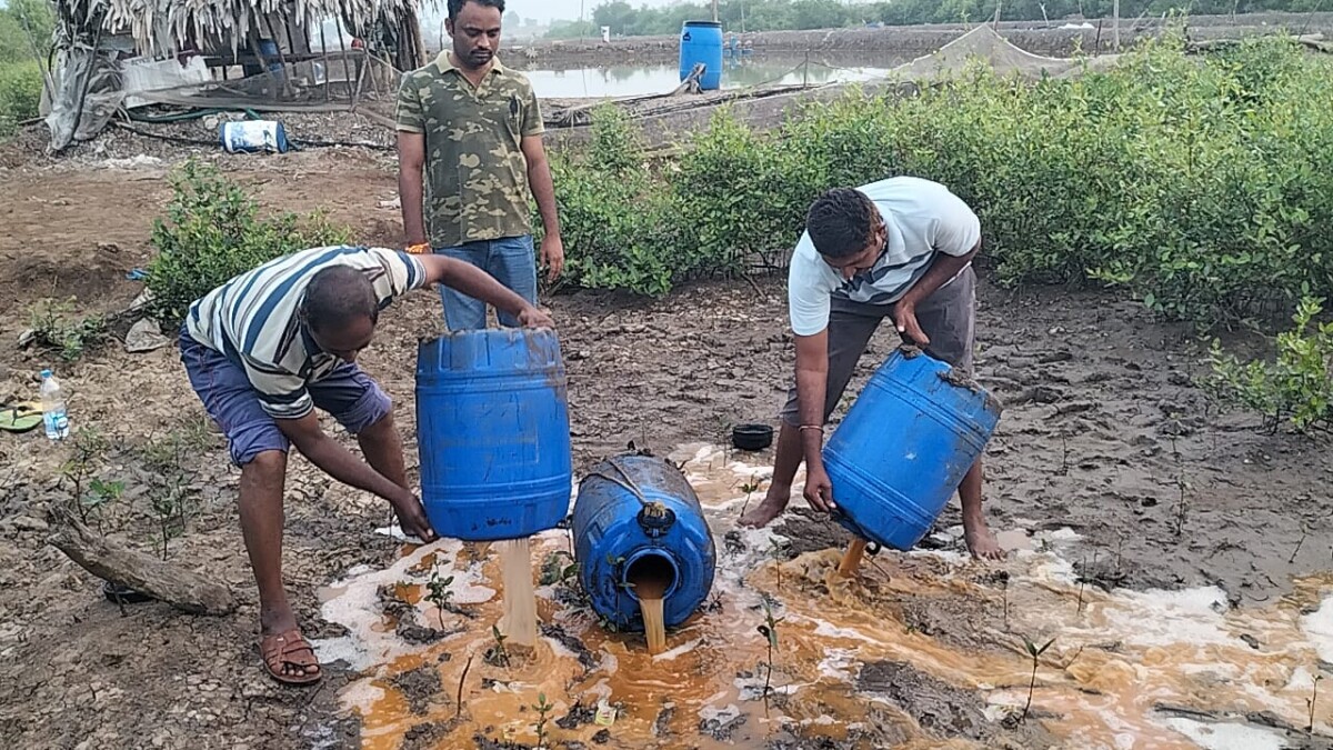 బాపట్ల జిల్లా అడవులదీవి పోలీస్ స్టేషన్ పరిధిలోని దిండి లో నాటు సారా స్థావరాలపై పోలీసుల దాడులు