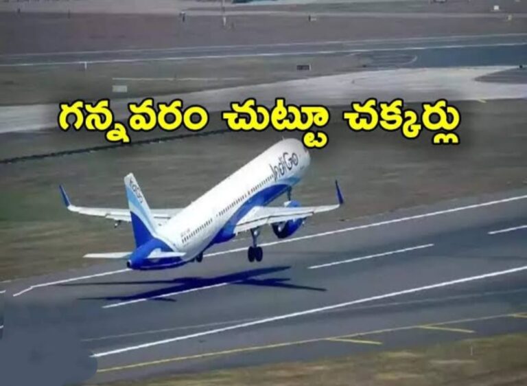 WhatsApp Image 2024 01 30 at 1.42.59 PM