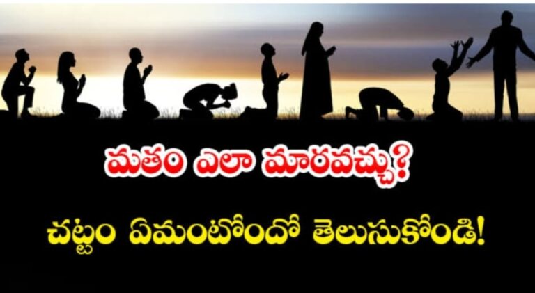 WhatsApp Image 2024 01 31 at 2.55.59 PM