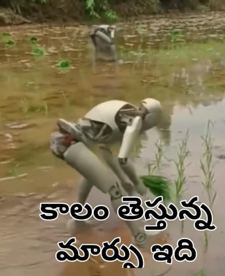 WhatsApp Image 2024 02 04 at 10.50.51 PM