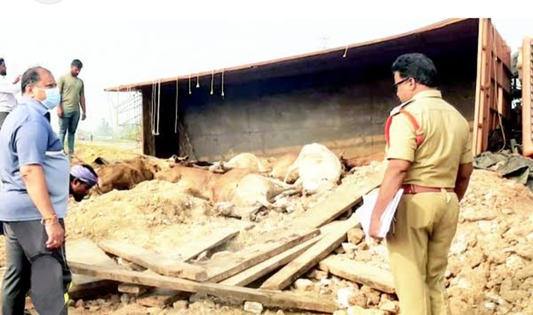 గుత్తి పట్టణ శివారులోని కాసేపల్లి టోల్ ప్లాజా వద్ద రోడ్డు ప్రమాదం