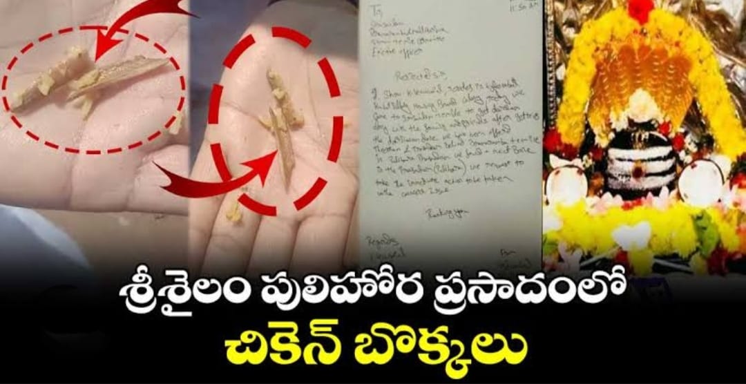 శ్రీశైలం దేవస్థానంలో మహా అపచారం