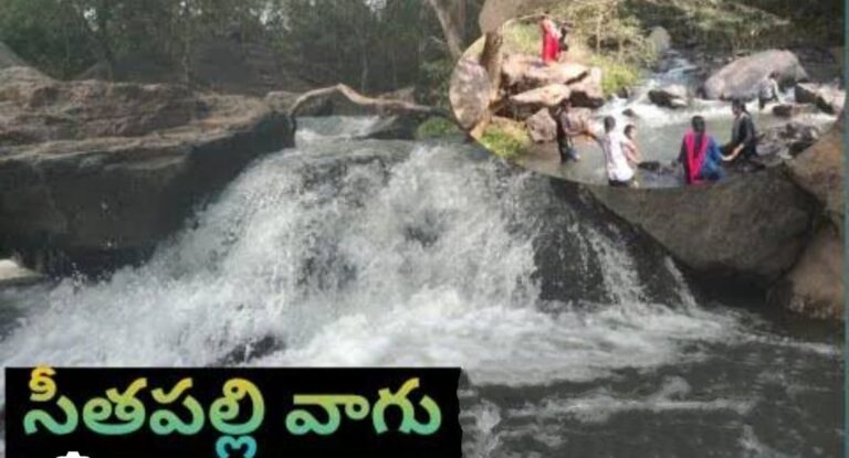 WhatsApp Image 2024 02 12 at 11.57.03 1