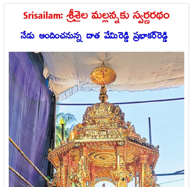 WhatsApp Image 2024 02 16 at 15.12.14
