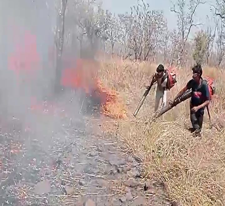 నల్లమల అడవిలో భారీ అగ్నిప్రమాదం సంభవించింది