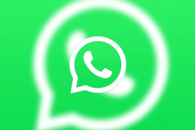 WhatsApp Image 2024 02 22 at 11.12.33