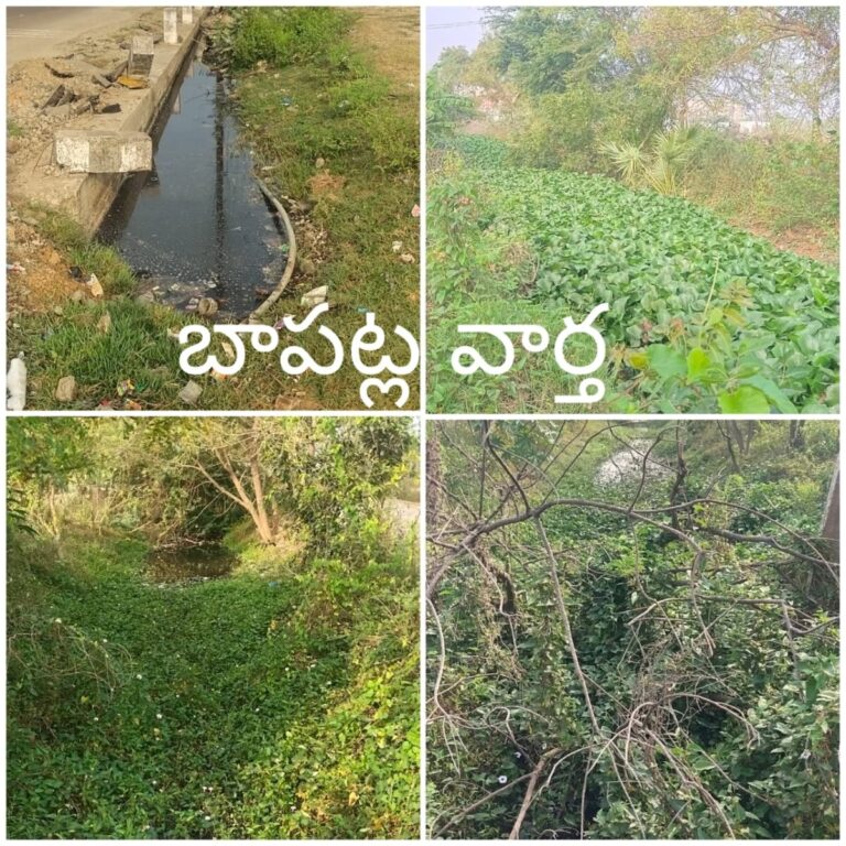 WhatsApp Image 2024 02 29 at 12.04.19