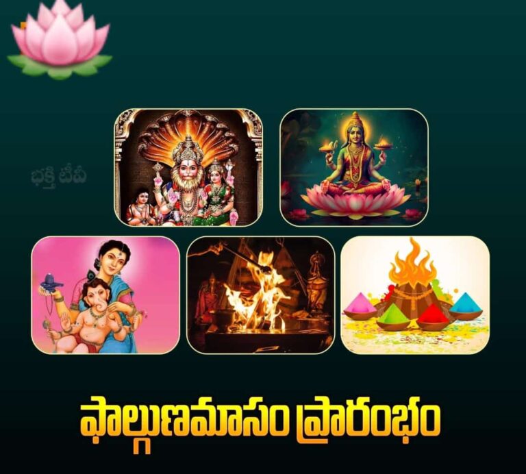WhatsApp Image 2024 03 11 at 08.19.54