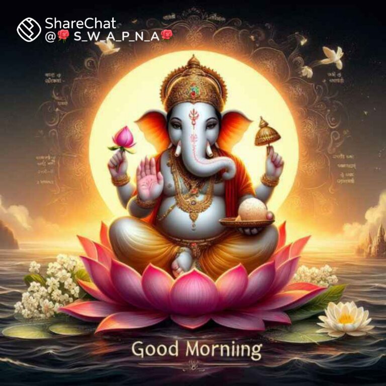 WhatsApp Image 2024 03 13 at 07.53.37
