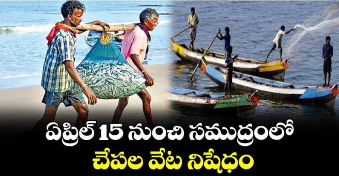 ఏప్రిల్15 నుంచి చేపల వేట నిషేధం