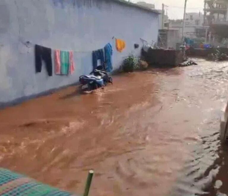 WhatsApp Image 2024 04 01 at 11.29.25 AM
