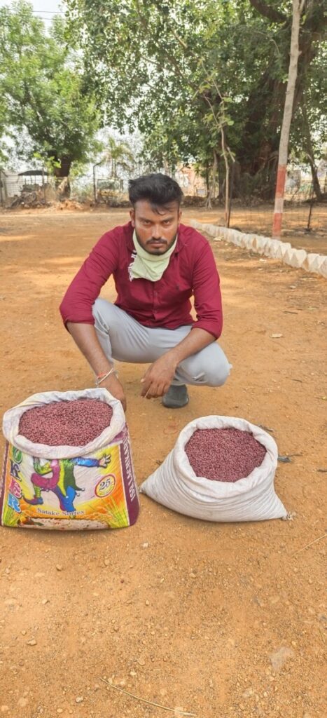 Task force police seized 20 kg of fake spare cotton seeds