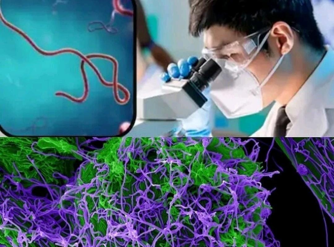 New Virus : చైనా లో కొత్త వైరస్