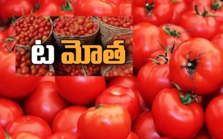 Tomato Prices : టమాటా ధరలు మళ్లీ సెంచరీ వైపు పరుగులు పెడుతున్నాయి