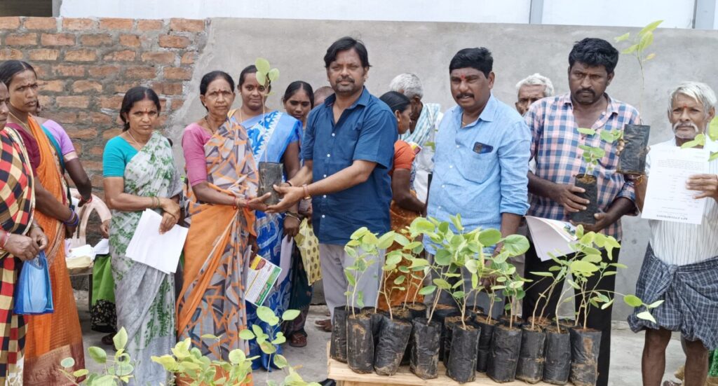 Free distribution of red sandalwood plants in Ramagundam