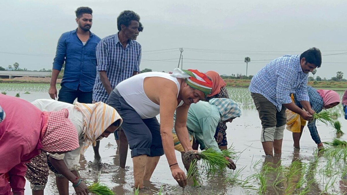 రైతులతో కలసి నాట్లు వేసిన MLA -BLR