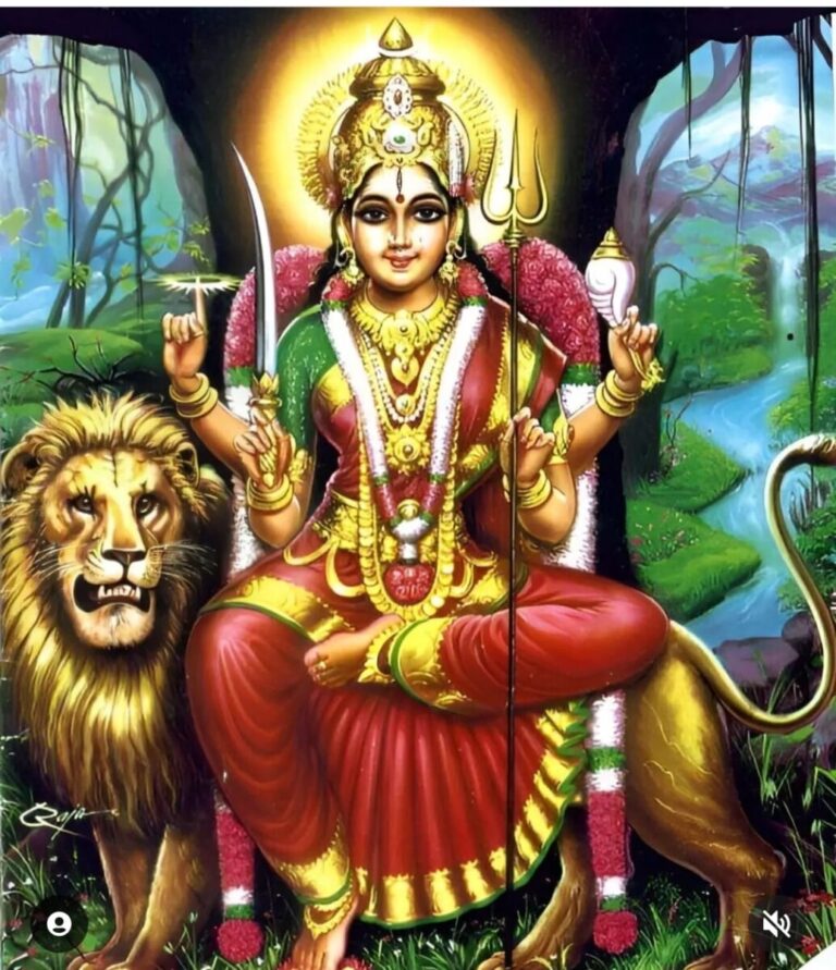 WhatsApp Image 2024 08 02 at 8.06.17 AM