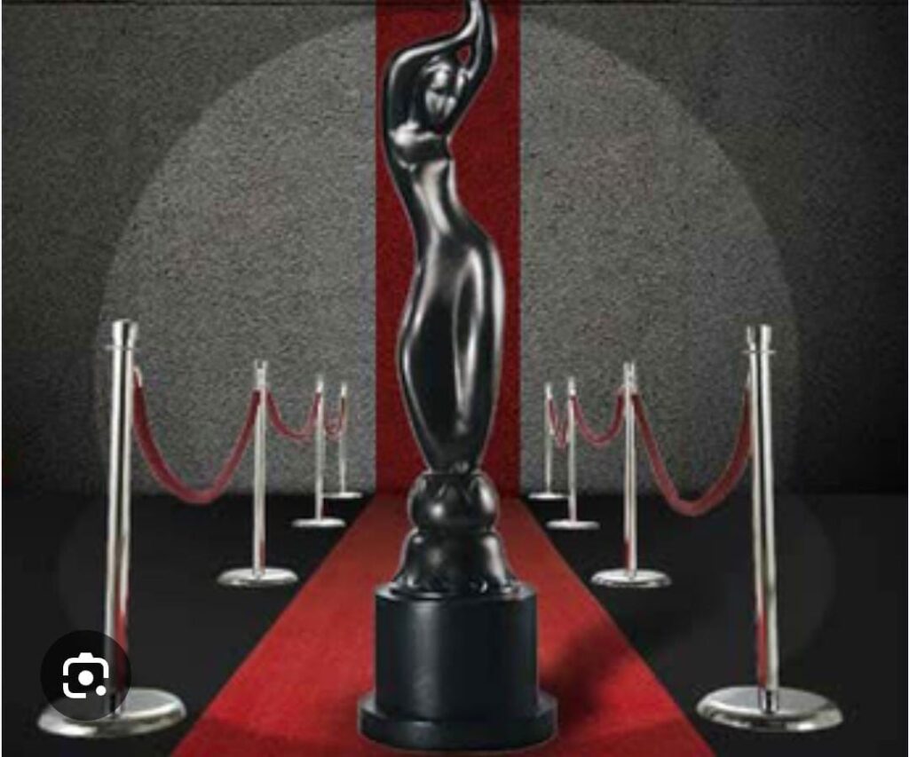 These are the 2024 Filmfare Award Winners