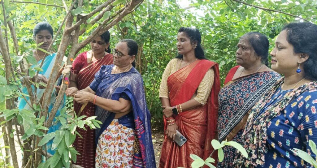 Vriksha Bandhan celebrations under the auspices of Telangana Mahila Mitra