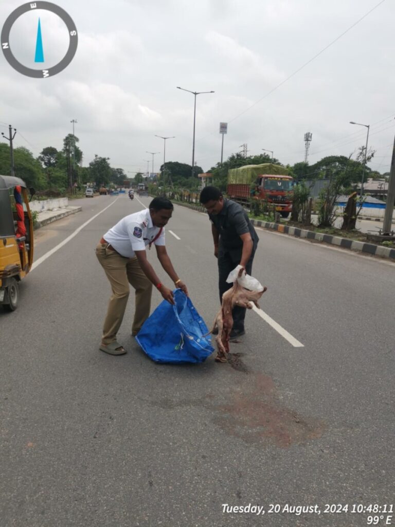 A dog died on the road opposite the Government Degree College.