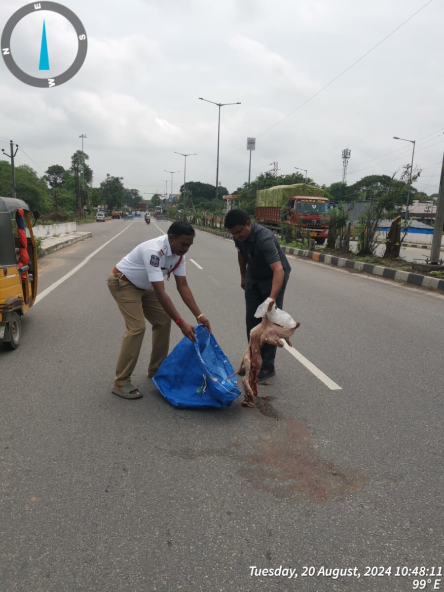 గవర్నమెంట్డిగ్రీ కాలేజీకి ఎదురుగా రోడ్డుపై కుక్క చనిపోవడం జరిగినది