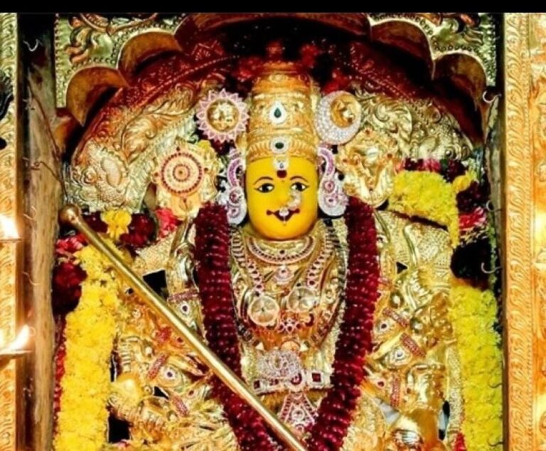 WhatsApp Image 2024 08 28 at 12.35.53 PM