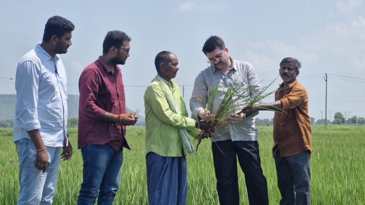 Agriculture : తెలంగాణ ప్రభుత్వం వ్యవసాయ శాఖ