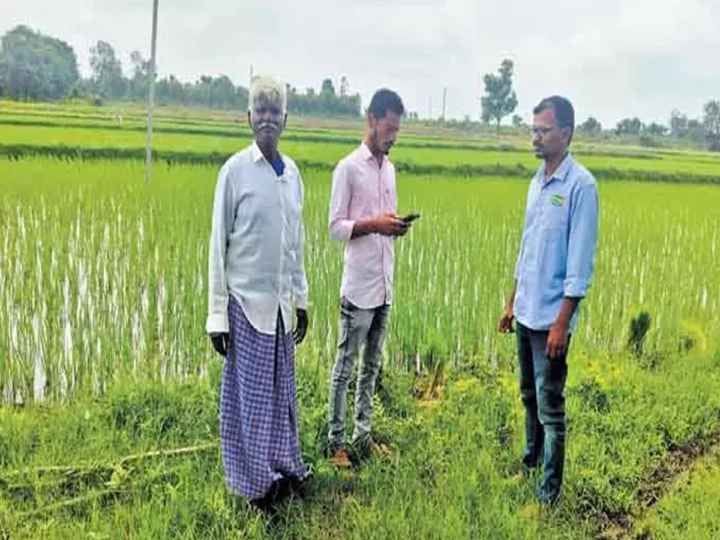 తెలంగాణలో దాదాపు 150 మంది ఏఈవోలపై సస్పెన్షన్ వేటు