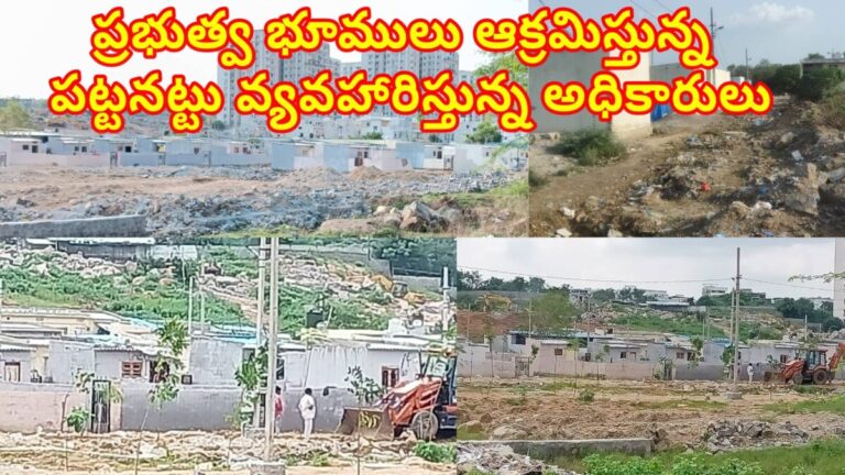 WhatsApp Image 2024 10 23 at 8.21.28 AM