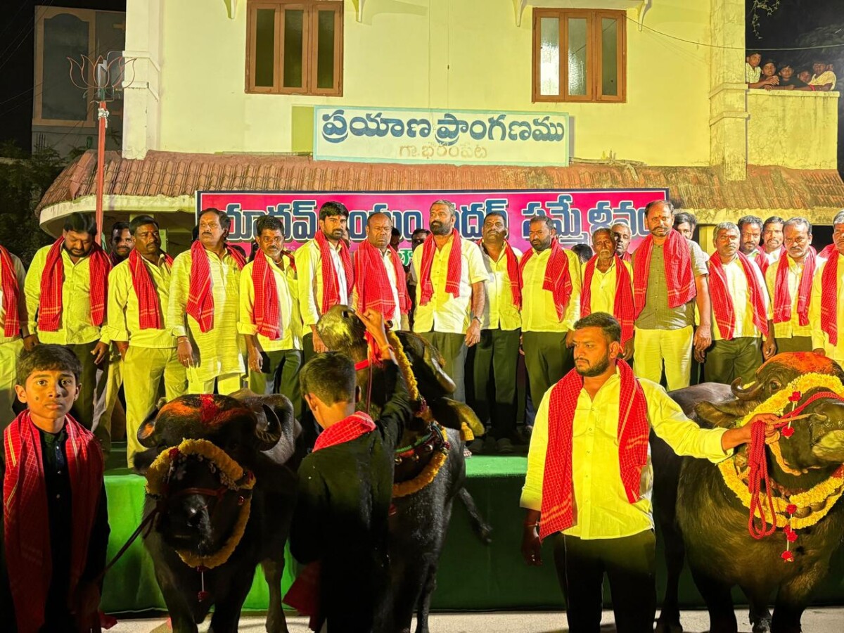 Sadar Celebrations : భౌరంపేట్ గ్రామం లో యాదవ పెద్దల ఆధ్వర్యంలో ఘనంగా సదర్ వేడుకలు