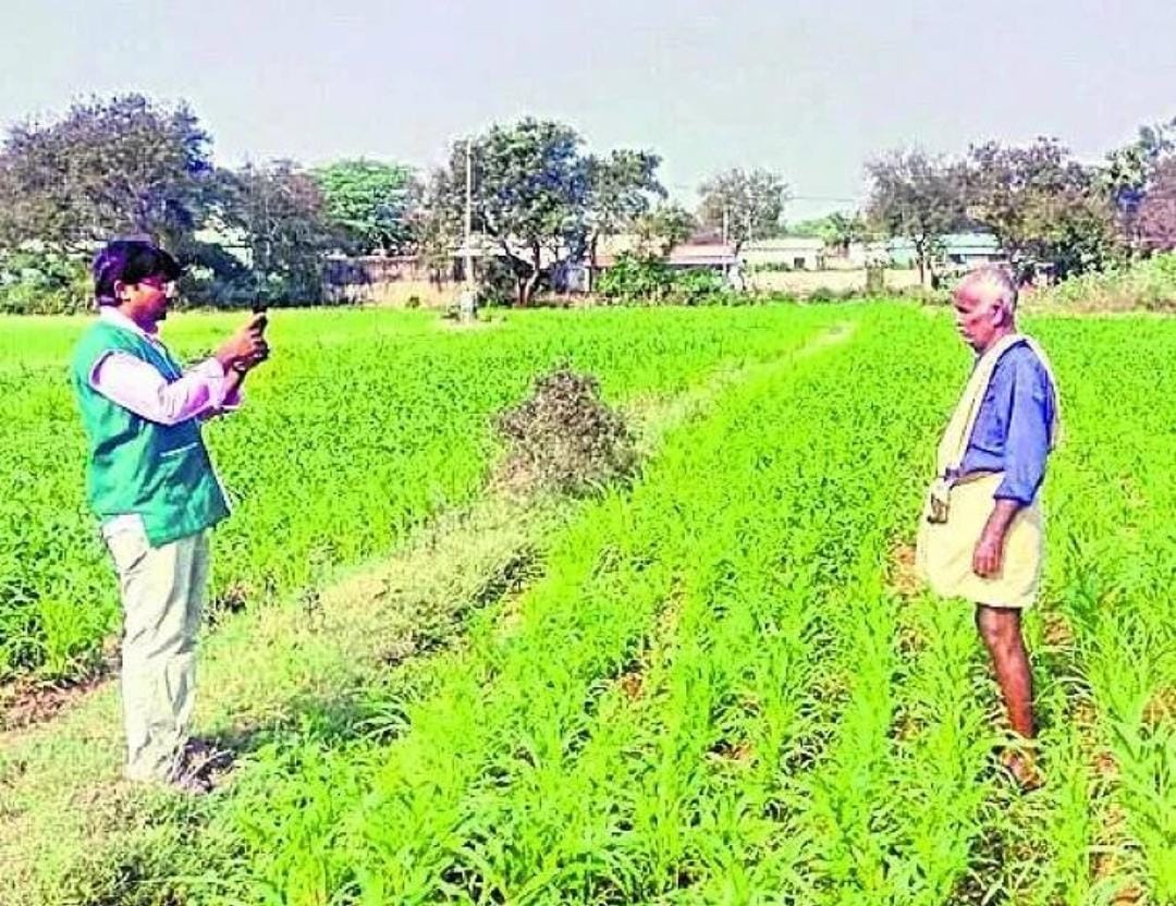 ఏపీలో నేటి నుంచి ఈ-పంట నమోదు