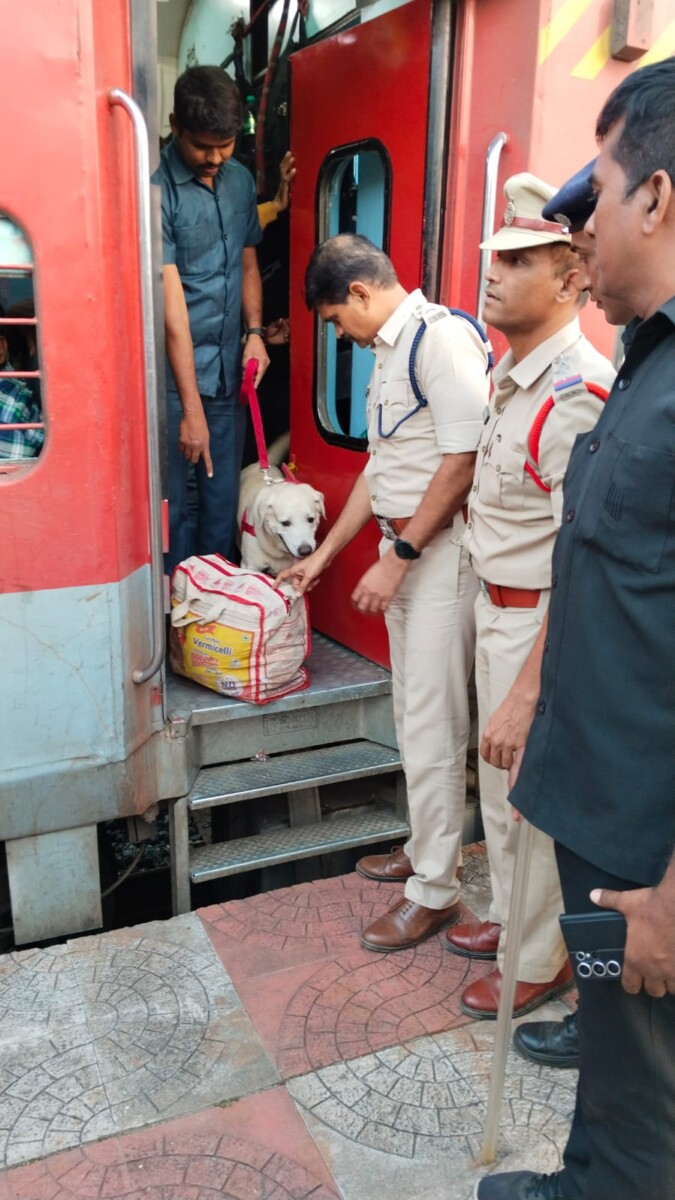 Raids at Railway : రైల్వేస్టేషన్‌లో పోలీసుల తనిఖీలు