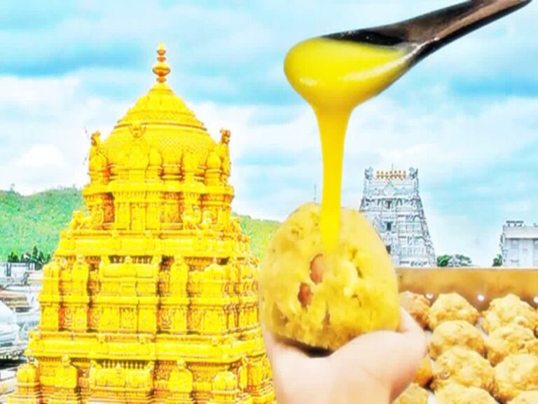 1200 900 22958079 thumbnail 16x9 sit investigation on adulterated ghee case in tirumala
