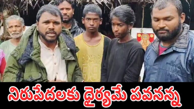 WhatsApp Image 2024 12 01 at 11.50.58 PM