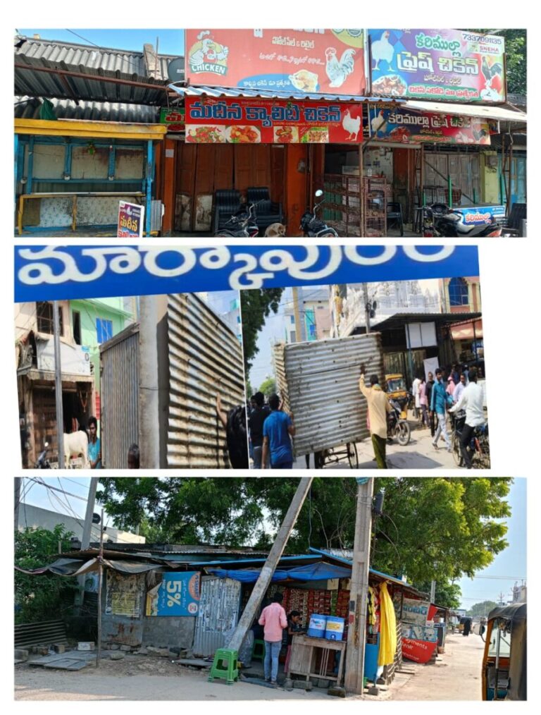 WhatsApp Image 2024 12 04 at 1.04.09 PM