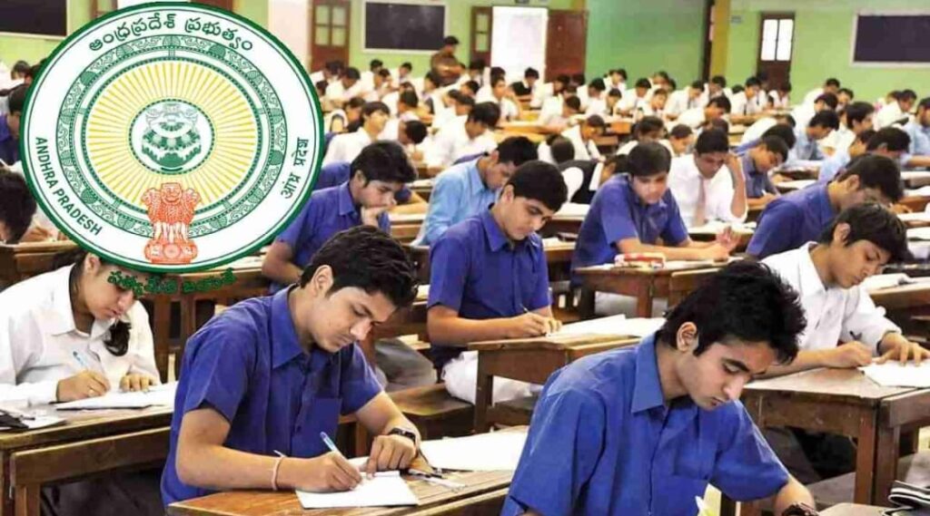 WhatsApp Image 2025 01 08 at 13.25.20